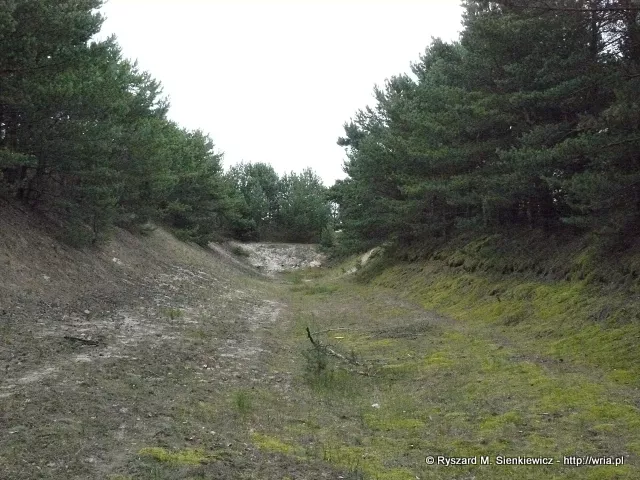 Wyrobisko po strzelnicy w byym 64. dr OP m. Hel-Br.